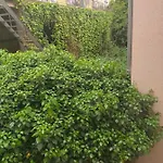 01 *